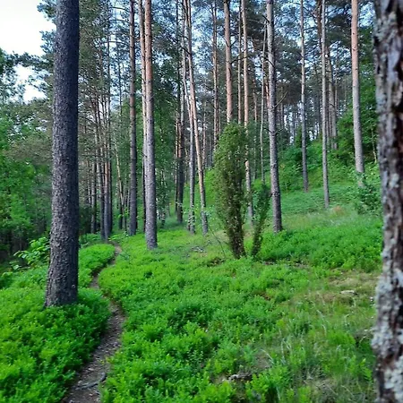 Kaszuby Sulęczyno